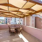 Summer * טרוגיר